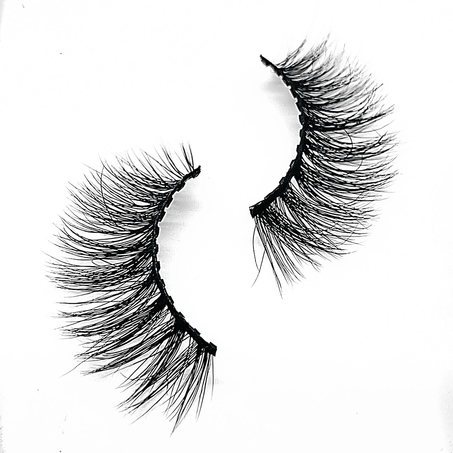 Lavish Lash