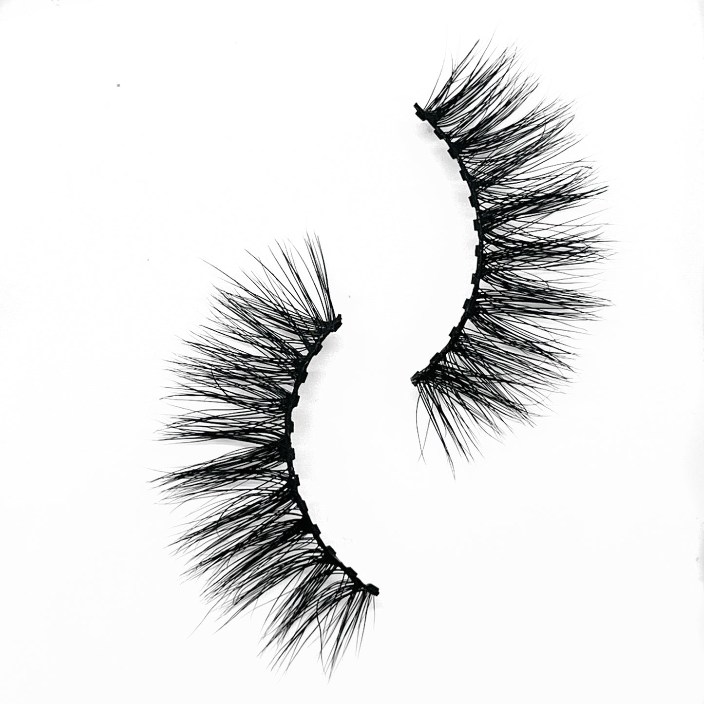 Lavish Lash