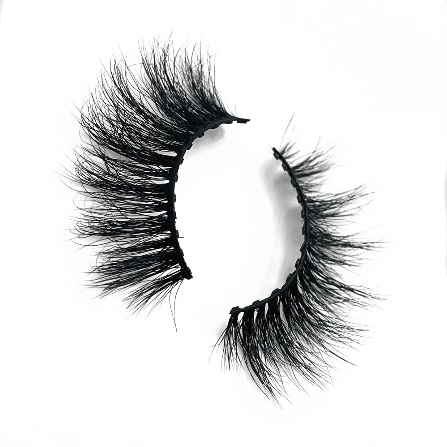 MyMyMy Lash