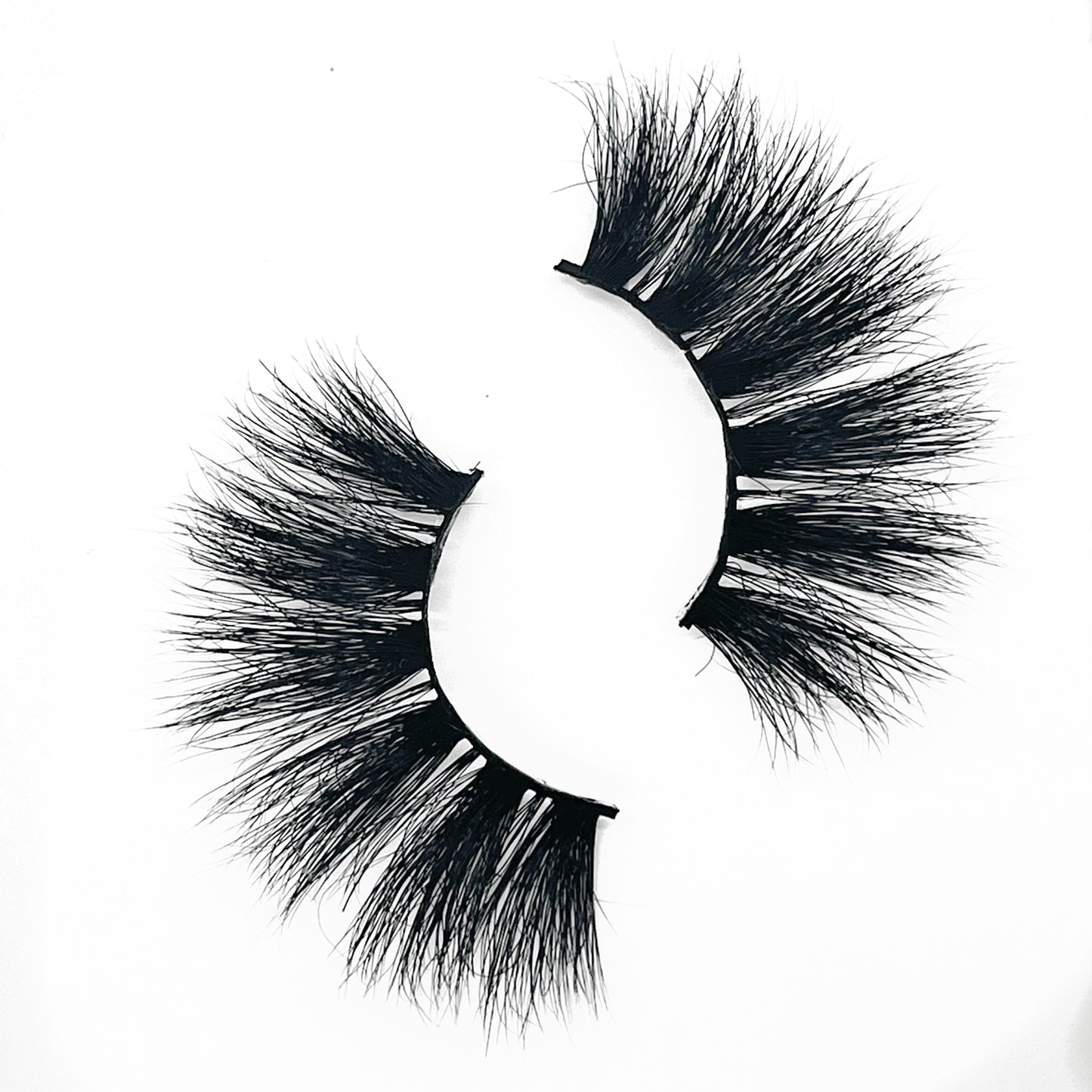 Petty Lash